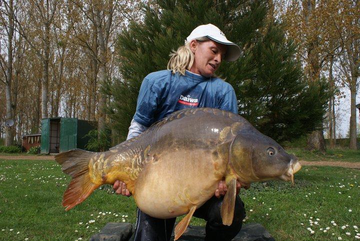 diverse 2 - 2538051917331905666282362n.jpg